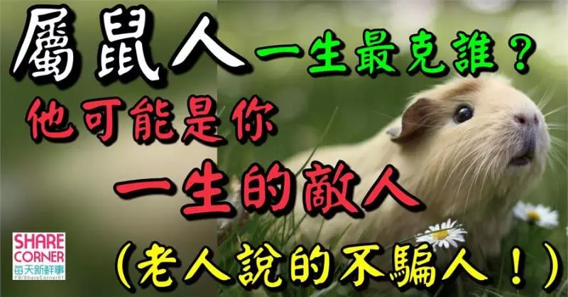 屬鼠人一生最克誰?他可能是你一生的敵人,不可不信! (老人說的不騙人!)