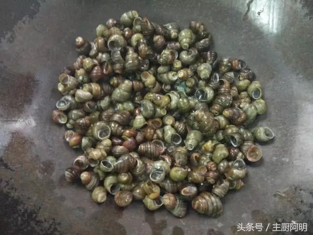 為什麼你炒的田螺不好吸,別人炒的輕輕一吸就出來,關鍵在這裡!
