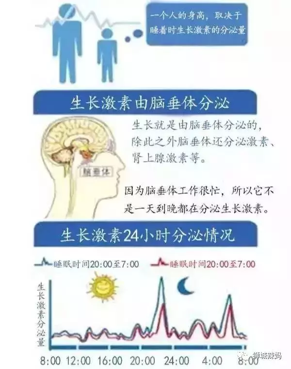 【科學育兒】早睡不一定長高,兩個黃金時間睡覺,孩子長高最有效
