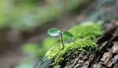 你的不自律,正在毀掉你的大好人生!值得每個人深思!
