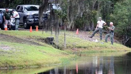 她遛狗突遭鱷吻 被拖入水中身亡