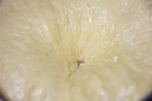 這款南瓜麵包非常適合老人和孩子吃,柔軟香甜,色澤誘人,軟萌萌~