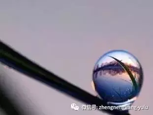 爭的是理,輸的是情,傷的是自己