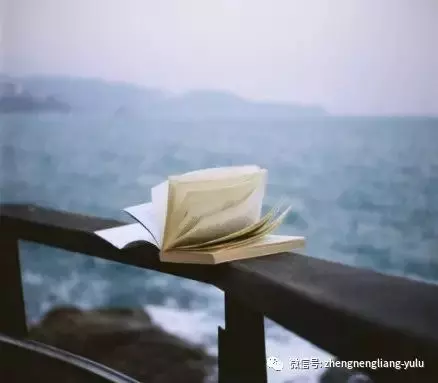 爭的是理,輸的是情,傷的是自己