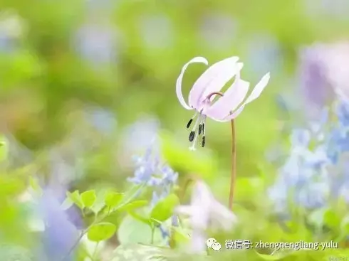 爭的是理,輸的是情,傷的是自己