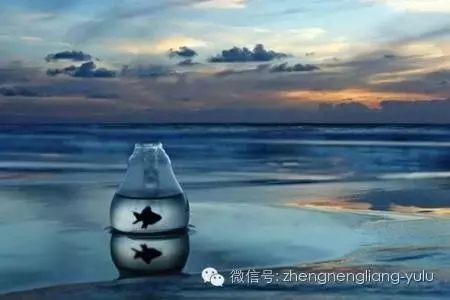 爭的是理,輸的是情,傷的是自己