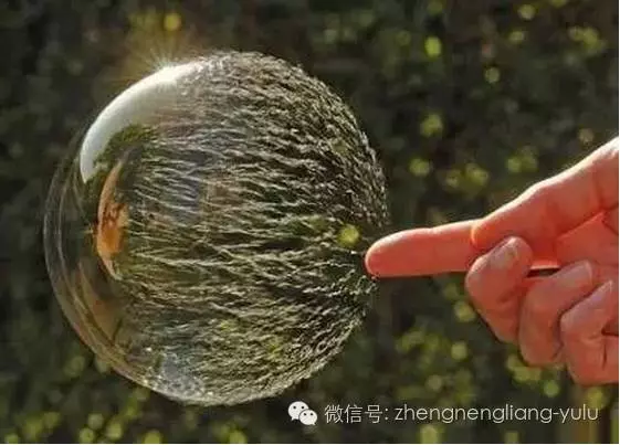 爭的是理,輸的是情,傷的是自己