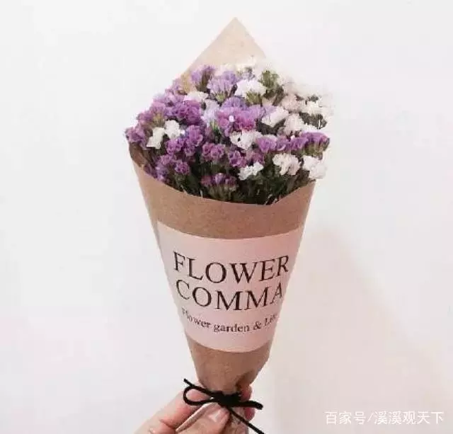 心理學測試:憑感覺選一束花,測你在異性眼中第幾等?
