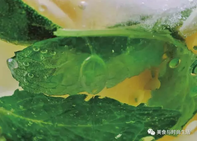金桔檸檬蘇打,做法簡單,口味獨特,快來試一試吧!
