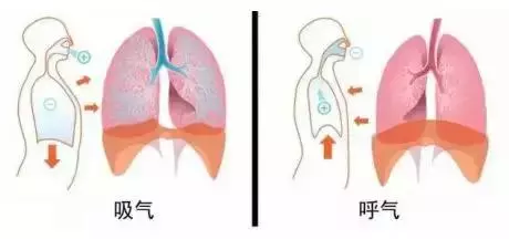 教你一套不用花錢的,自我體檢法!