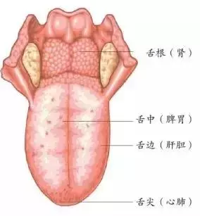 教你一套不用花錢的,自我體檢法!