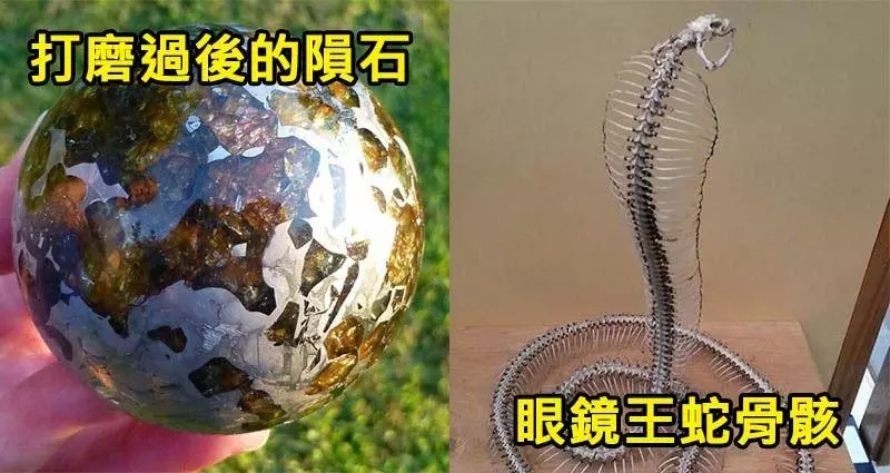 8張「看一次就長見識10年」的極度罕見照片 「溜溜球高手」的手竟然會變形成這樣