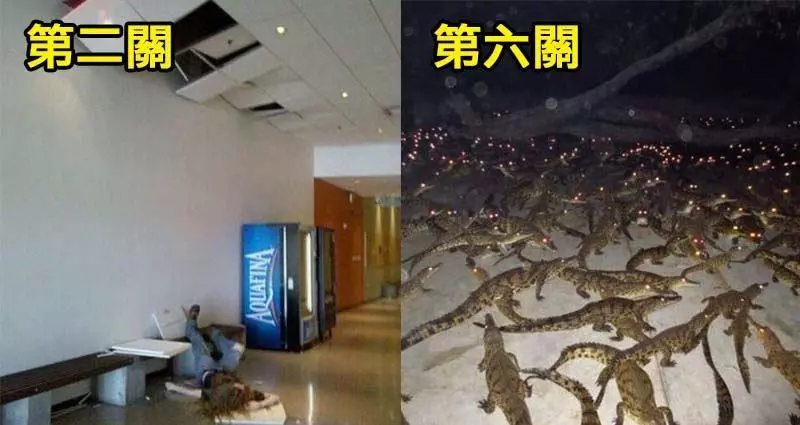 8張「每看下一張都需要更多勇氣」的戰慄照片。敢看到「最後一張」還沒嚇到慘叫的絕對是勇者!