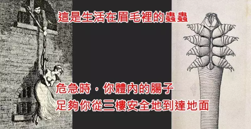 99%的人都不知道的25個「人體恐怖」冷知識!