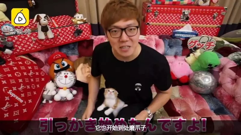 把拔好奇怪~奴才握手手「教小奶喵磨爪」 被當耳邊風苦笑:這個很好用捏!