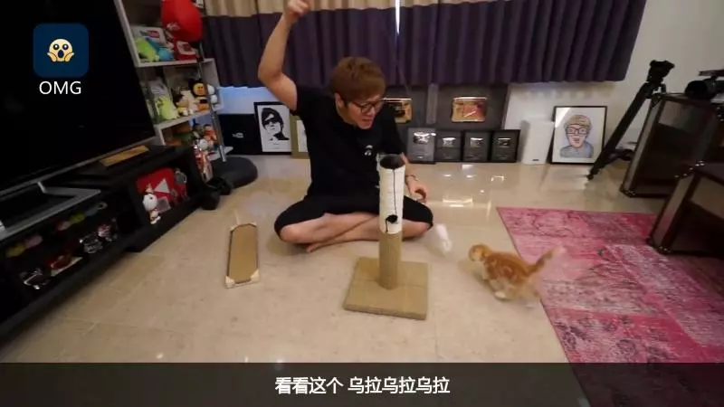把拔好奇怪~奴才握手手「教小奶喵磨爪」 被當耳邊風苦笑:這個很好用捏!