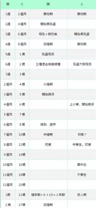  貓年齡換算人類年齡的換算表