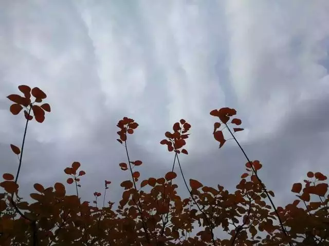 人與人走得太近,是場災難!(深刻好文)