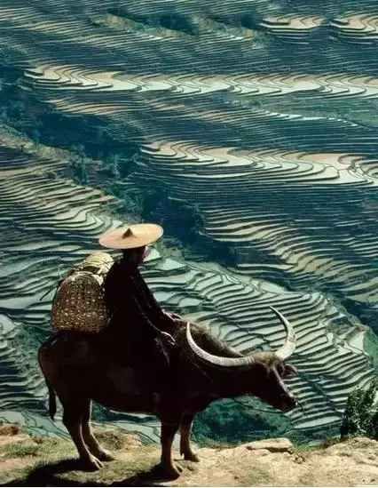 請珍惜後半生(深度好文)