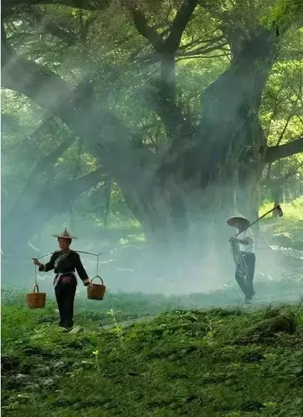 請珍惜後半生(深度好文)