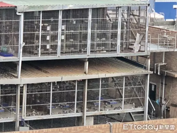 最狂違建!加油站上「鐵皮蓋3層」檢舉4年沒路用 風一吹「糞便亂飄」