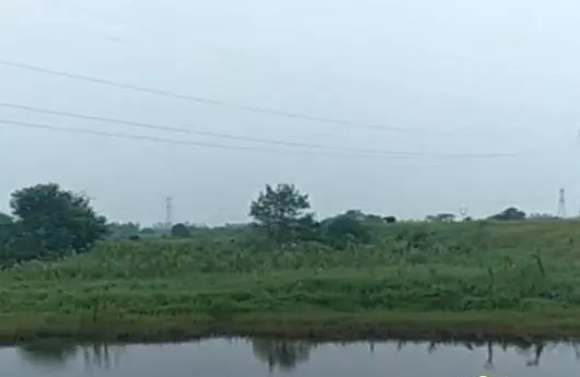 26歲青年釣魚觸電,全身燒傷70%,求父母,讓他安樂死 -