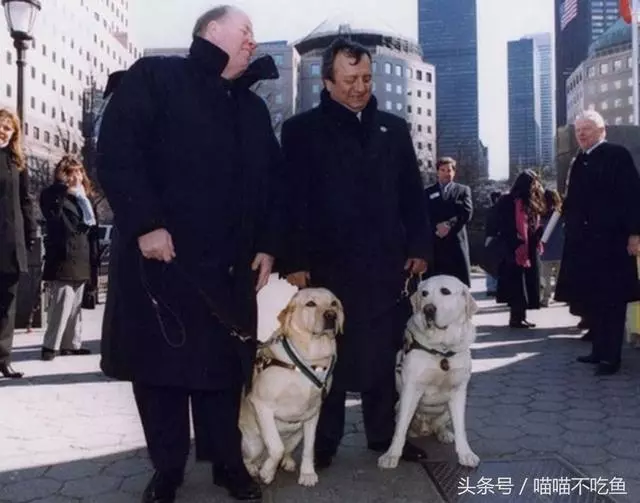 12張催人淚下的動物照片,網友:動物們的感情最真摯,乾淨!