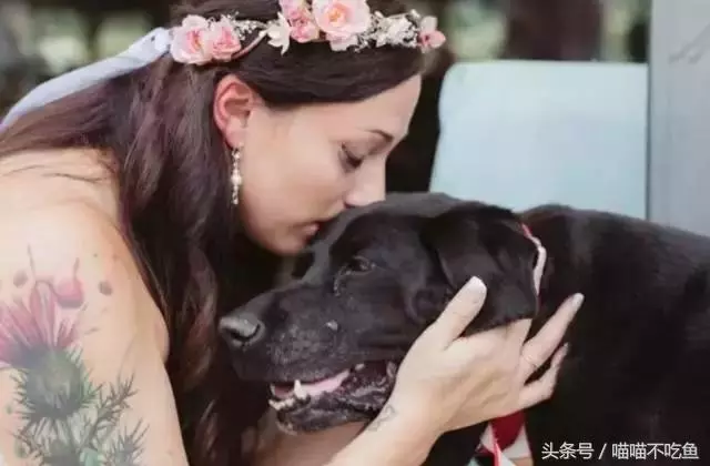 12張催人淚下的動物照片,網友:動物們的感情最真摯,乾淨!