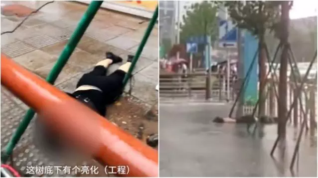 抽搐5秒後倒地 他路過行道樹被電死沒人敢收屍