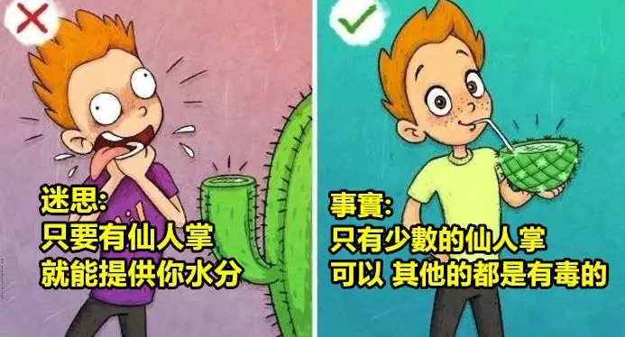 盤點9個其實是錯誤的 但卻一直被人們記在腦海中的錯誤急救方法!