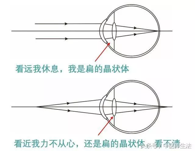 甩掉「老花眼」,這2個穴位,每天捏3下,90歲眼不花,看得清