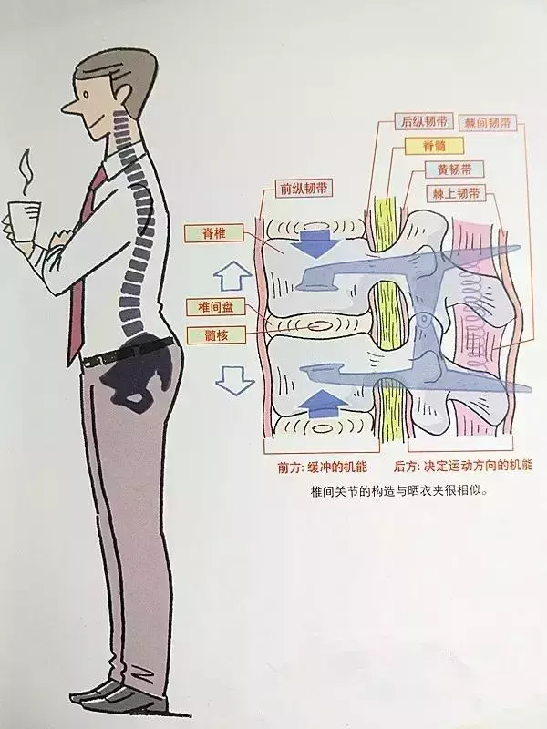 腰椎間盤突出康復鍛煉大全,一套即可解決病痛!