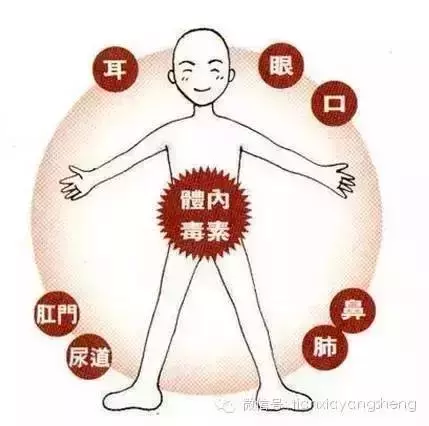 經常這樣舉起手,六經通暢氣血旺