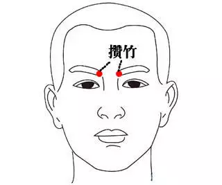 身上就有一條「排毒養顏」通道