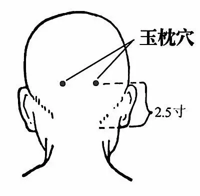 身上就有一條「排毒養顏」通道