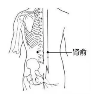 身上就有一條「排毒養顏」通道