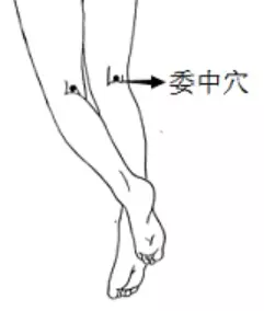 身上就有一條「排毒養顏」通道