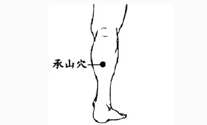 身上就有一條「排毒養顏」通道