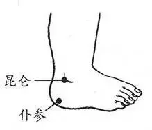 身上就有一條「排毒養顏」通道