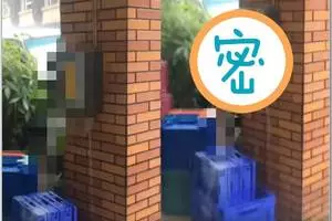 共車去晨運撞羅裡.2樂齡好友夾斃