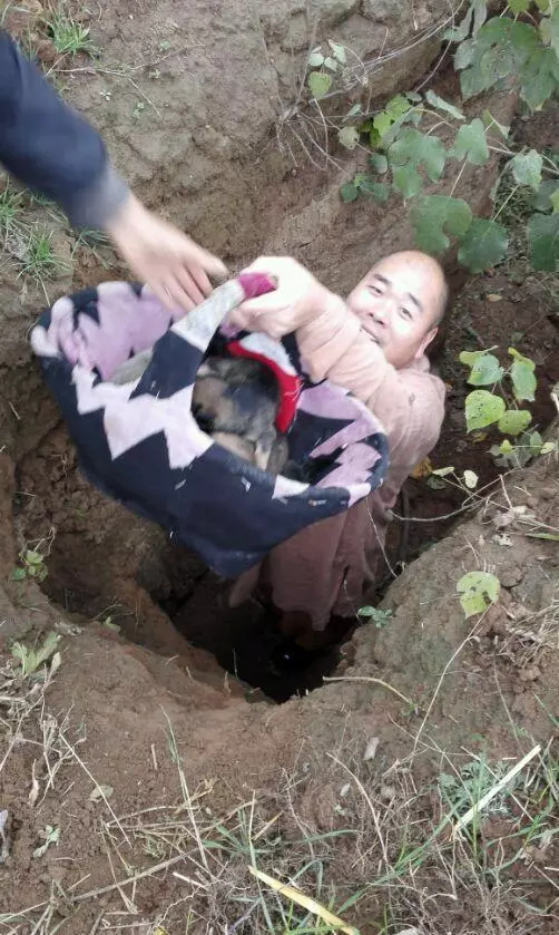 在寒風刺骨的坑洞裡撿到6隻小狗,餵養4天後朋友羨慕壞了