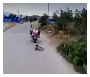 一男子騎摩托後面拖拽著一隻狗狗,還一路猛開直至將可憐的狗狗拖拽致死,太可恨了!