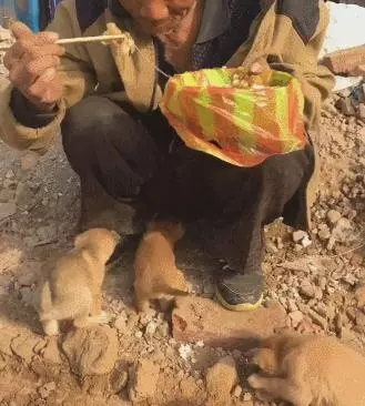 無家可歸的流浪大爺得到了一份好心人給的飯菜,飢餓不已的他,看看身邊的小奶狗,做出了一個讓人超暖的動作!