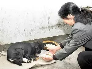 疾馳的馬路上流浪狗不小心被撞飛,周圍的大人漠不關心,直到這個孩子的出現,他的做法讓周圍的人無比動容。