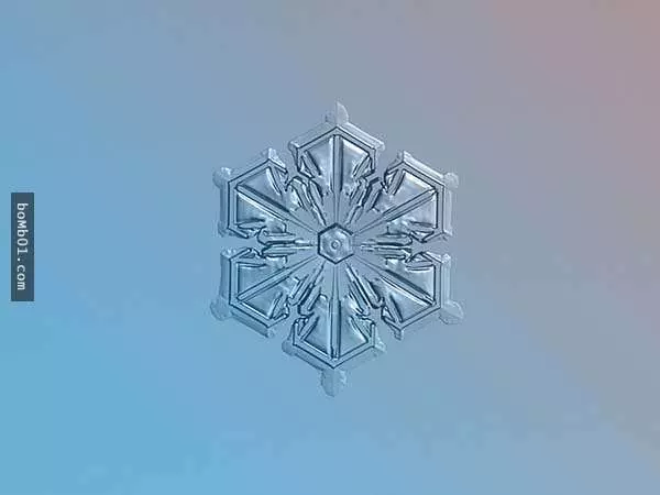 你有試過從這麼近的距離觀賞雪花嗎?原來近看是這樣的!