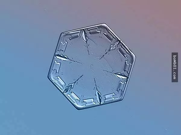 你有試過從這麼近的距離觀賞雪花嗎?原來近看是這樣的!