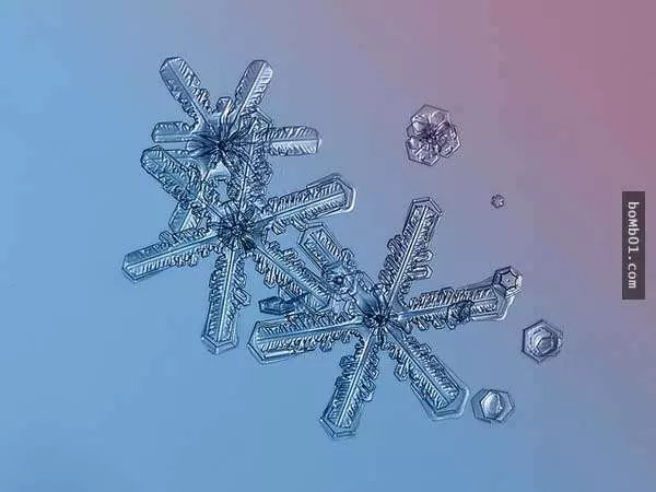 你有試過從這麼近的距離觀賞雪花嗎?原來近看是這樣的!