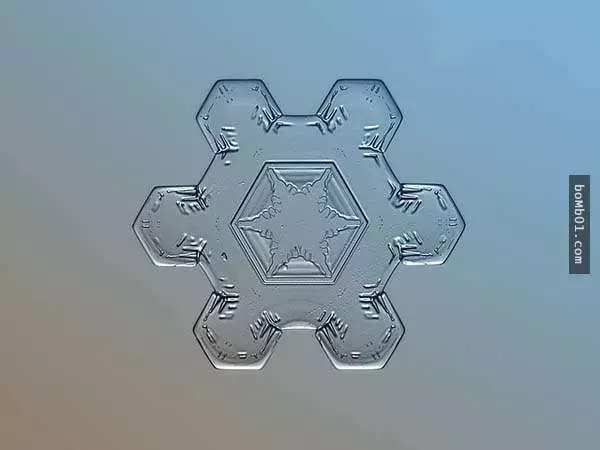 你有試過從這麼近的距離觀賞雪花嗎?原來近看是這樣的!