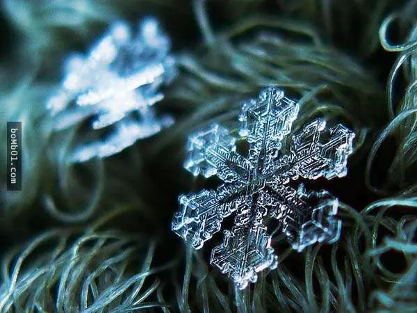 你有試過從這麼近的距離觀賞雪花嗎?原來近看是這樣的!