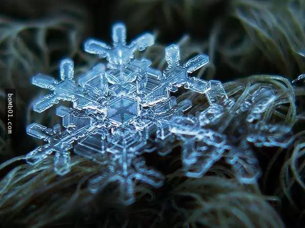 你有試過從這麼近的距離觀賞雪花嗎?原來近看是這樣的!